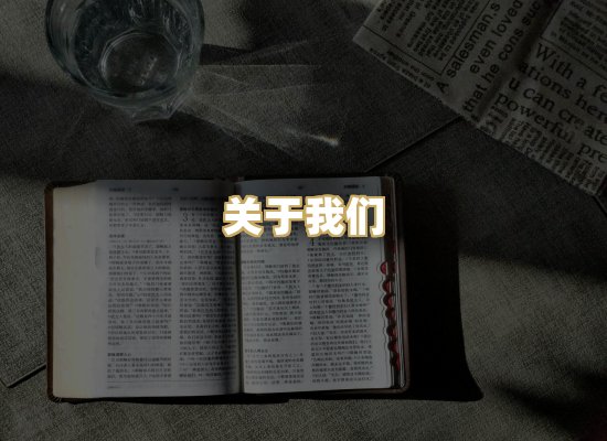 关于我们